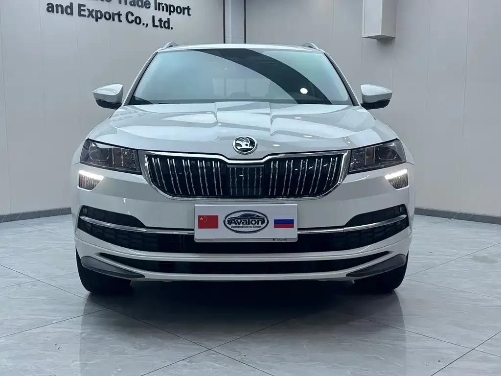Skoda Karoq 2024 из CN, фото 2