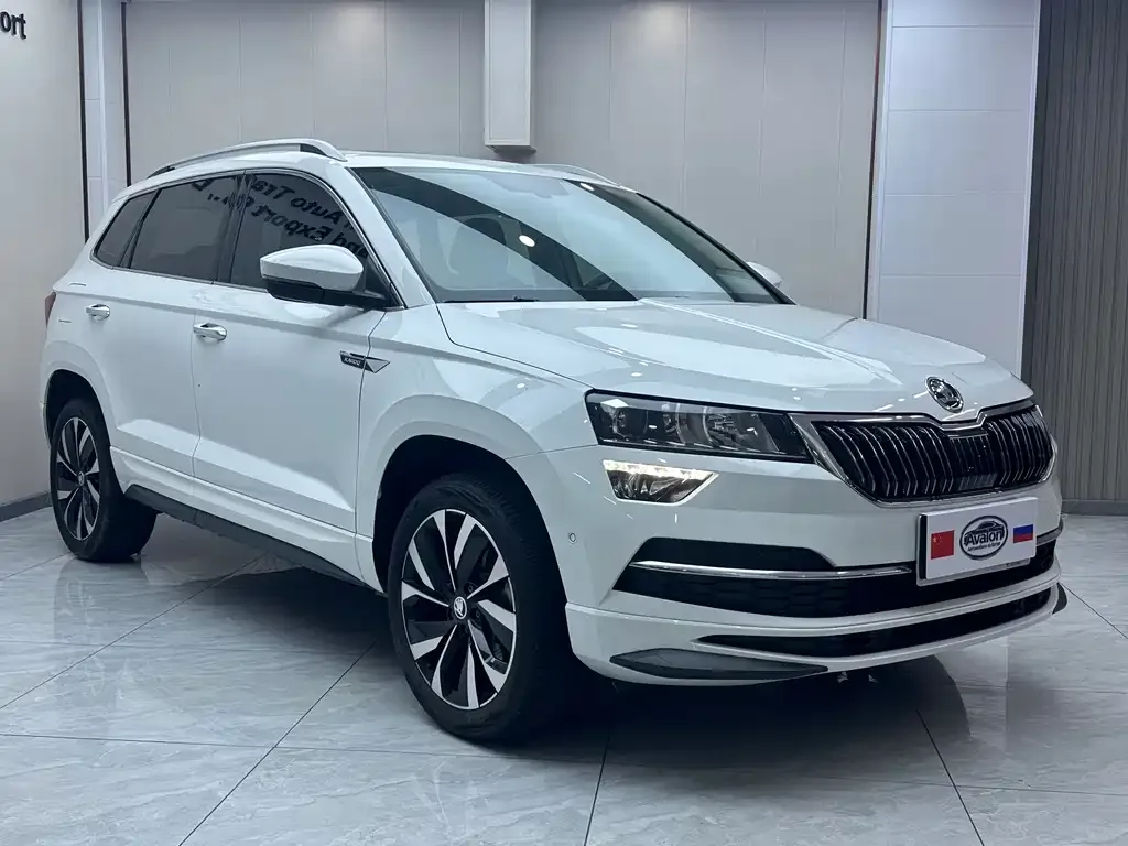 Skoda Karoq 2024 из CN, фото 3