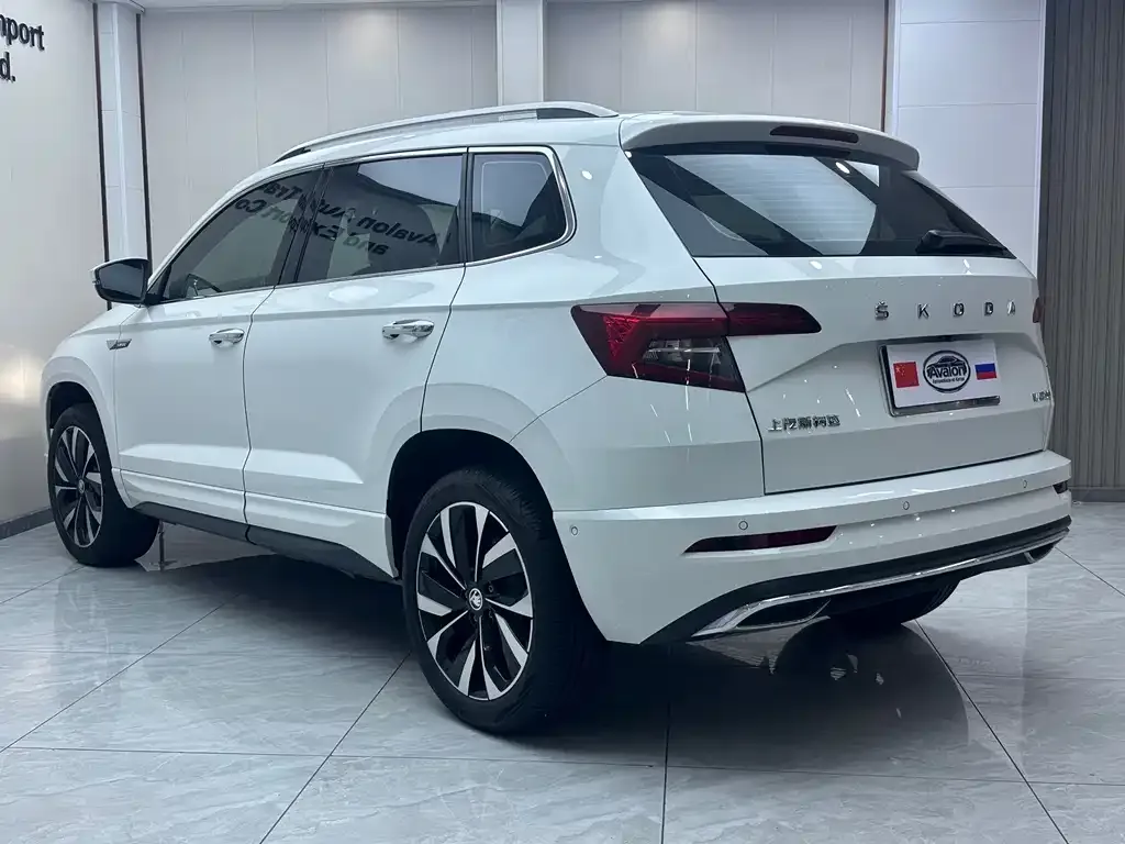 Skoda Karoq 2024 из CN, фото 5