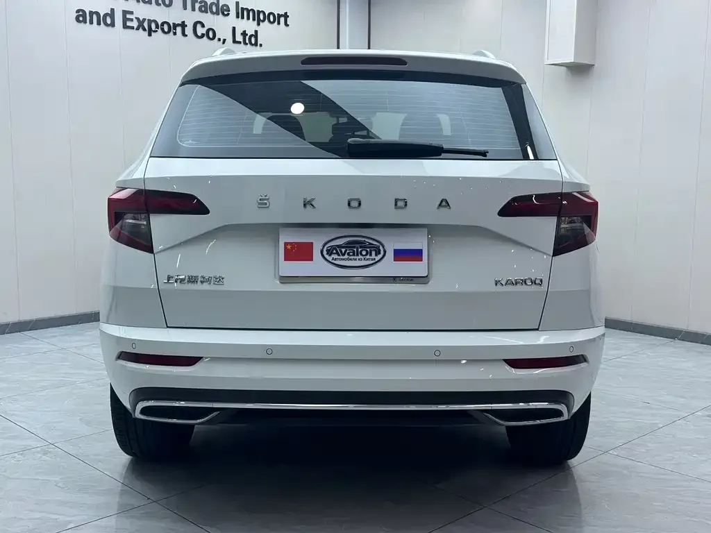 Skoda Karoq 2024 из CN, фото 4