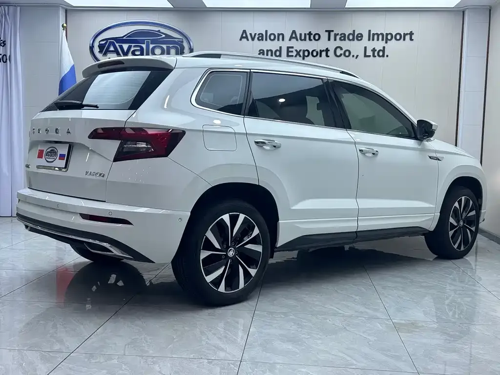 Skoda Karoq 2024 из CN, фото 6