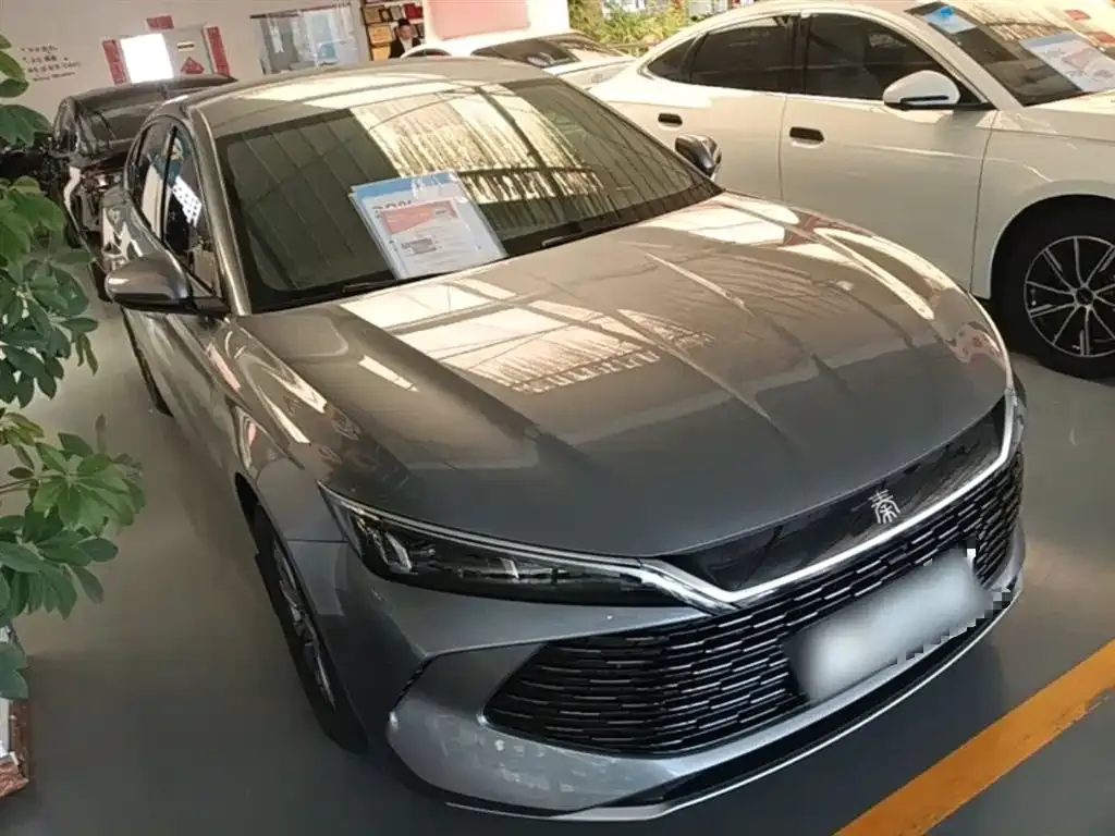 BYD Qin L 2024 из CN, фото 4