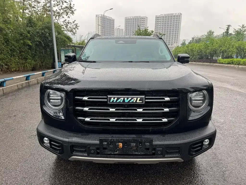 Haval Big Dog 2023 из CN, фото 9