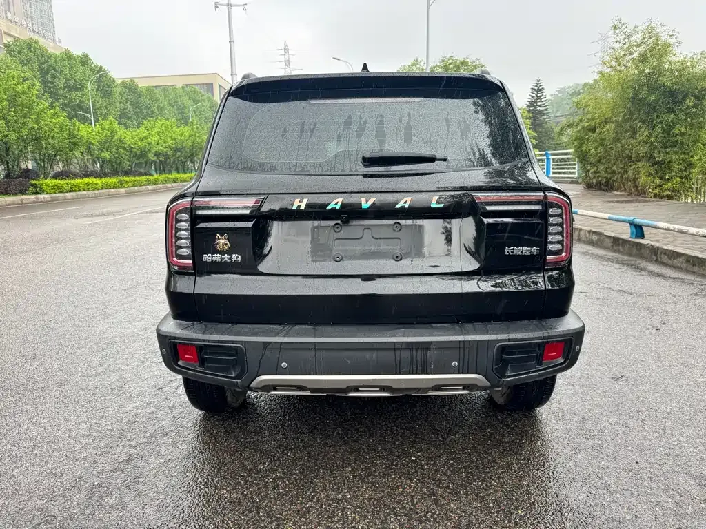 Haval Big Dog 2023 из CN, фото 6