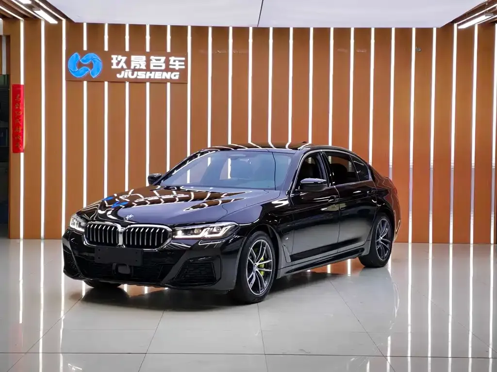 BMW 5 Series New Energy — фото 1