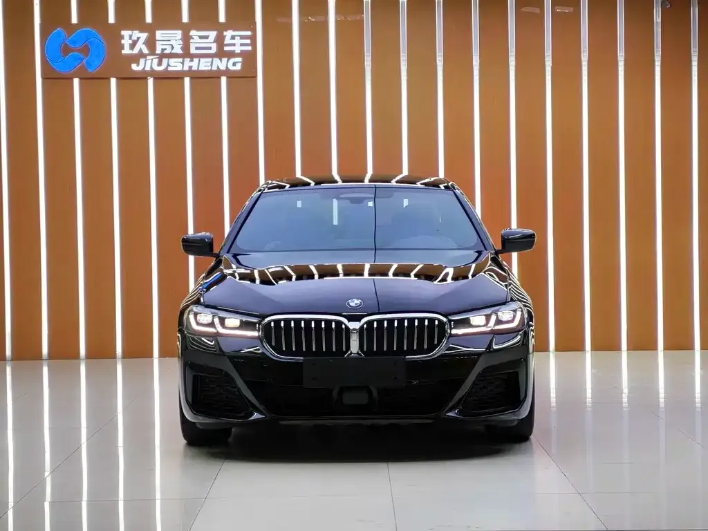 BMW 5 Series New Energy — фото 2