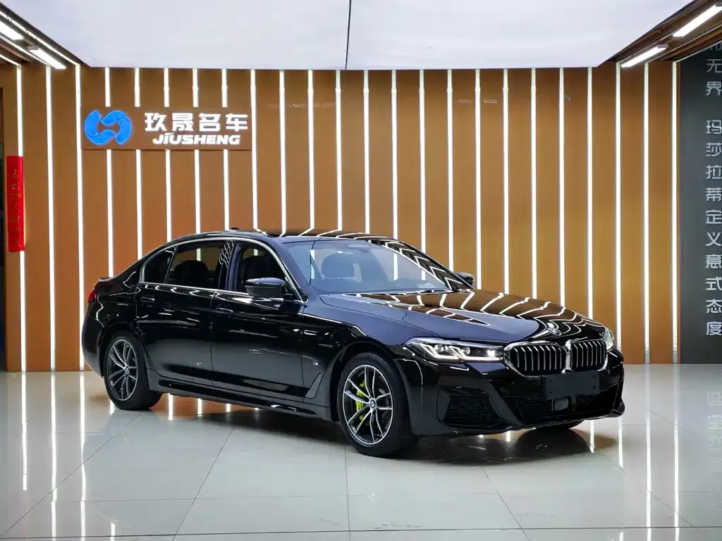 BMW 5 Series New Energy — фото 4
