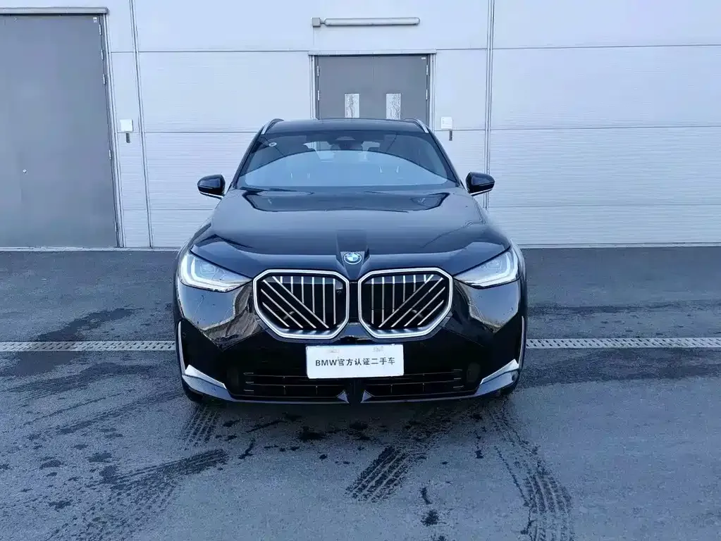 BMW X3 2025 из CN, фото 6
