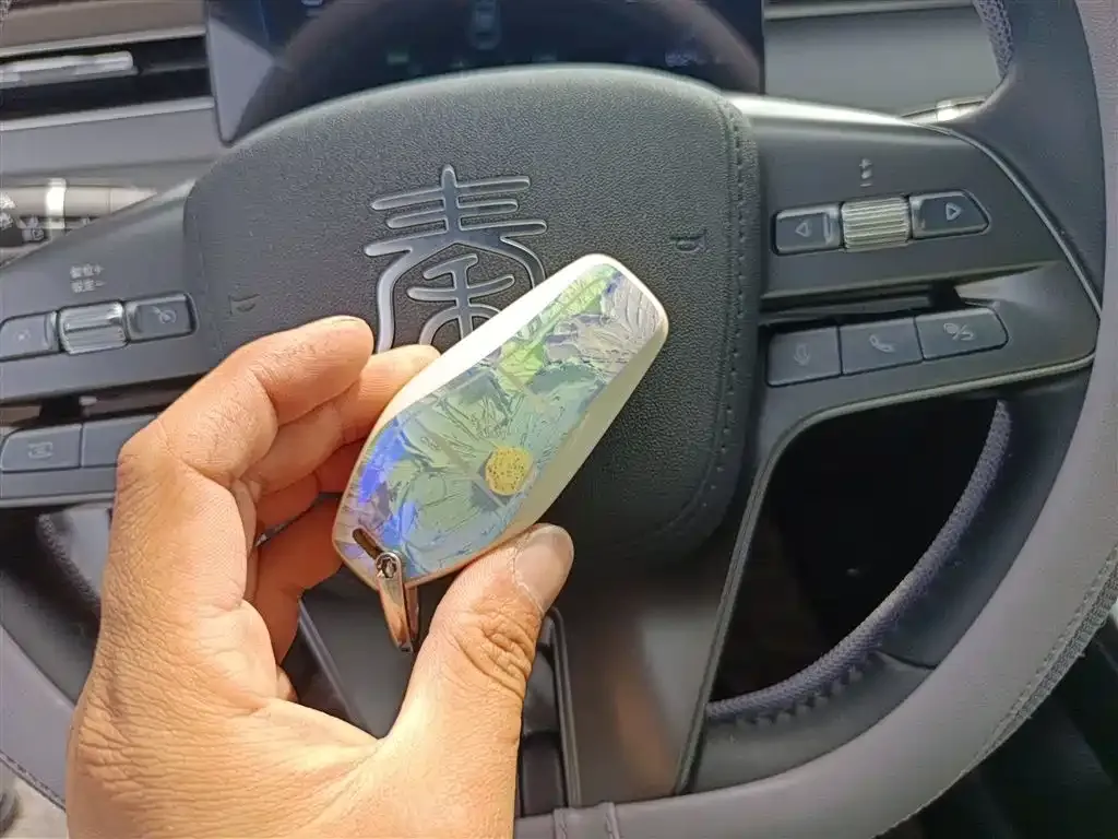 BYD Qin PLUS 2025 из CN, фото 9