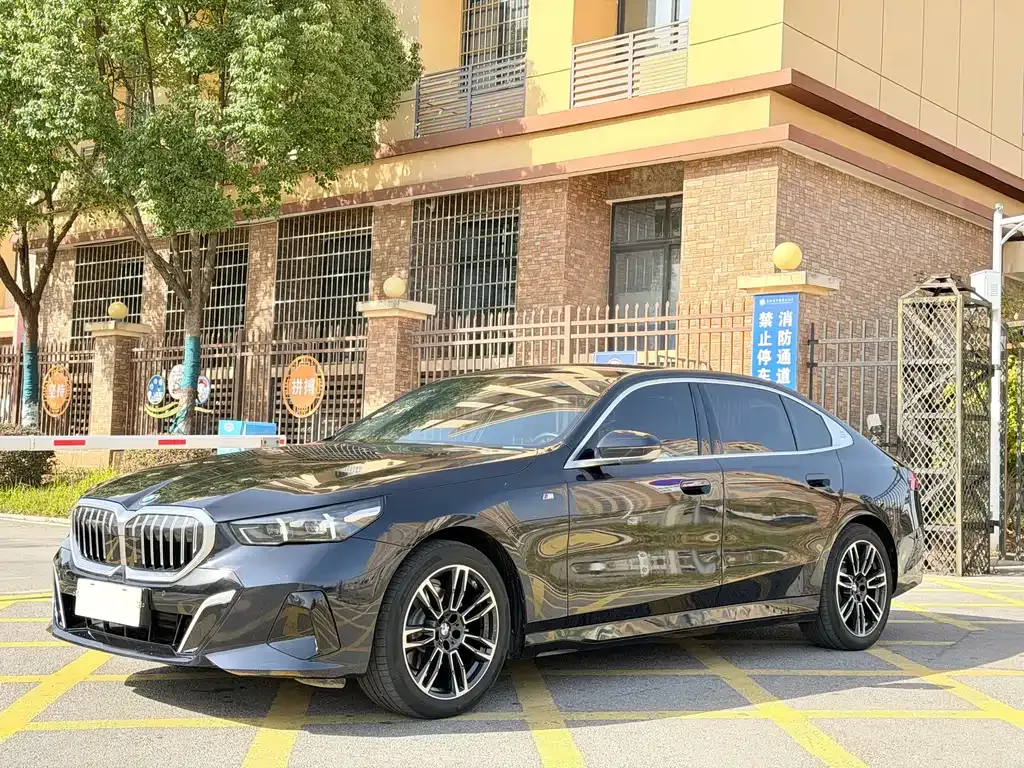 BMW 5 Series 2024 из CN, фото 5