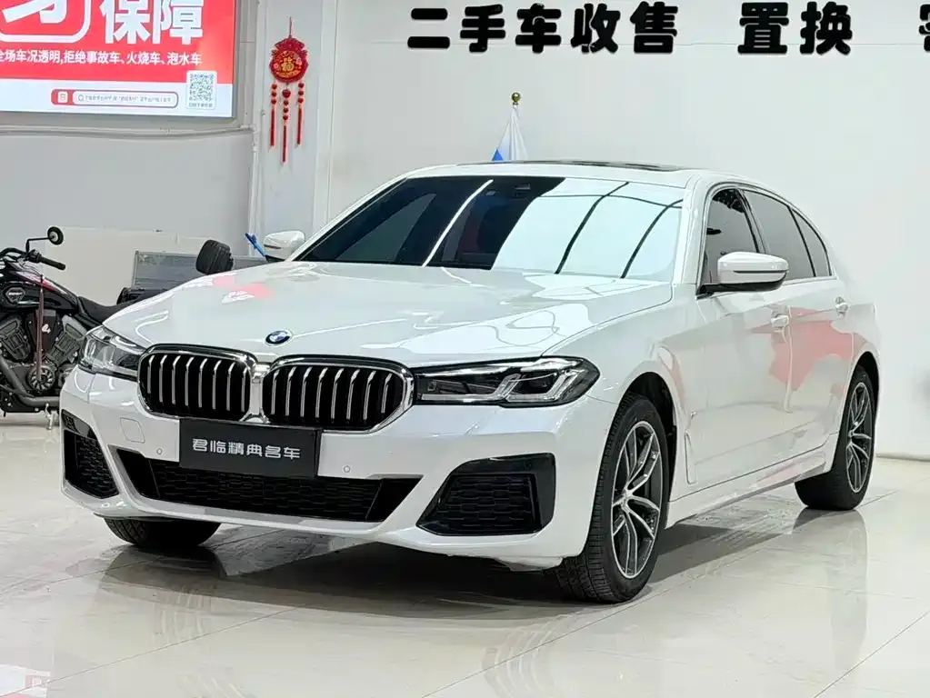 BMW 5 Series 2022 из CN, фото 1