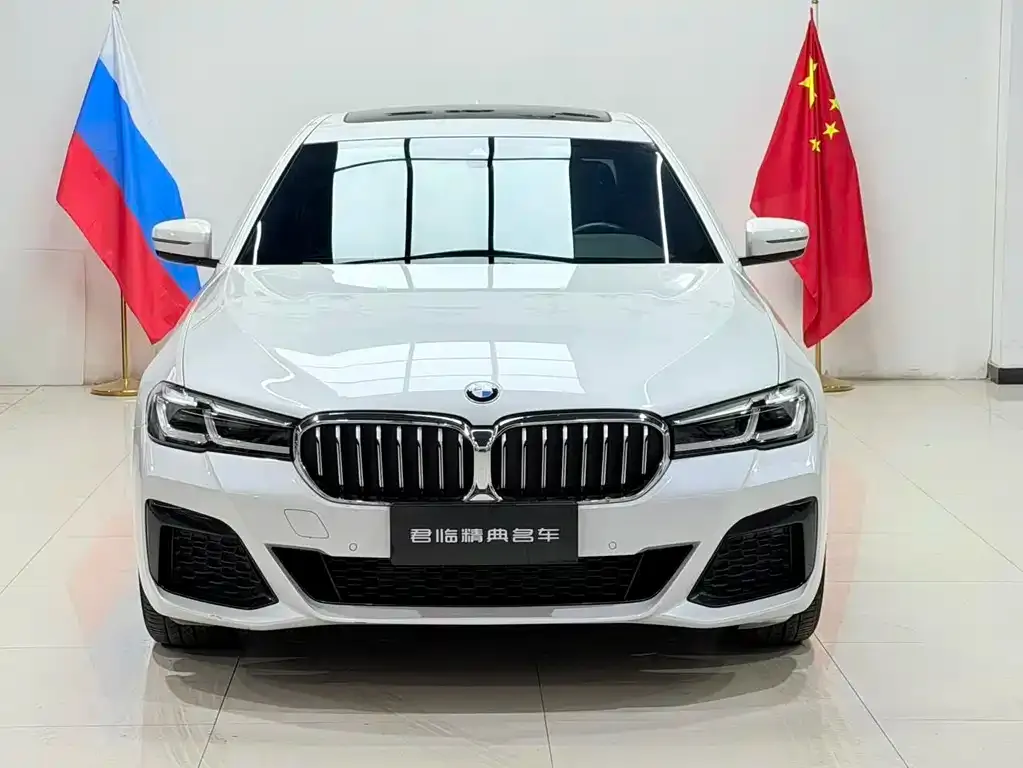 BMW 5 Series 2022 из CN, фото 6