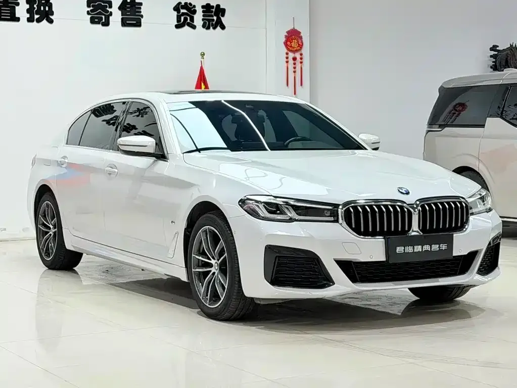 BMW 5 Series 2022 из CN, фото 2