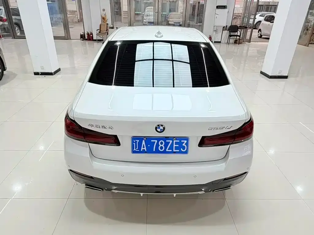 BMW 5 Series 2022 из CN, фото 5