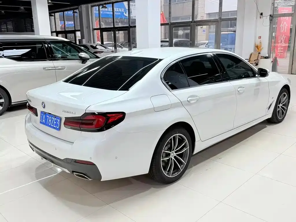 BMW 5 Series 2022 из CN, фото 8