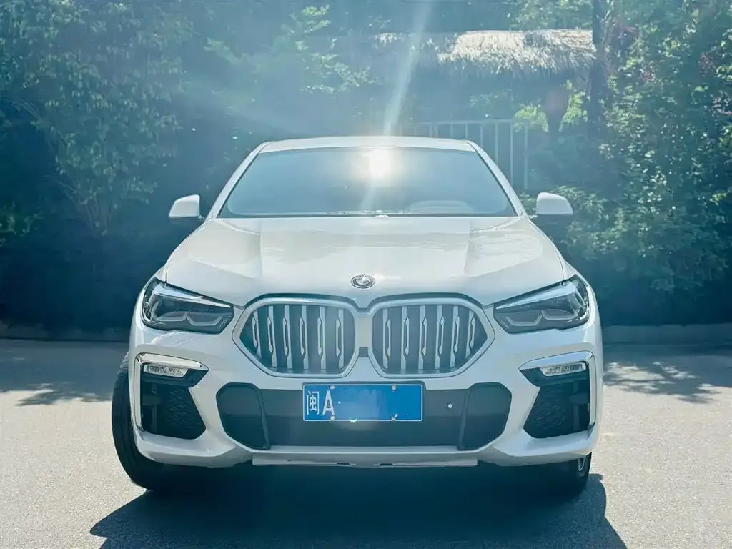 BMW X6 2022 из CN, фото 8