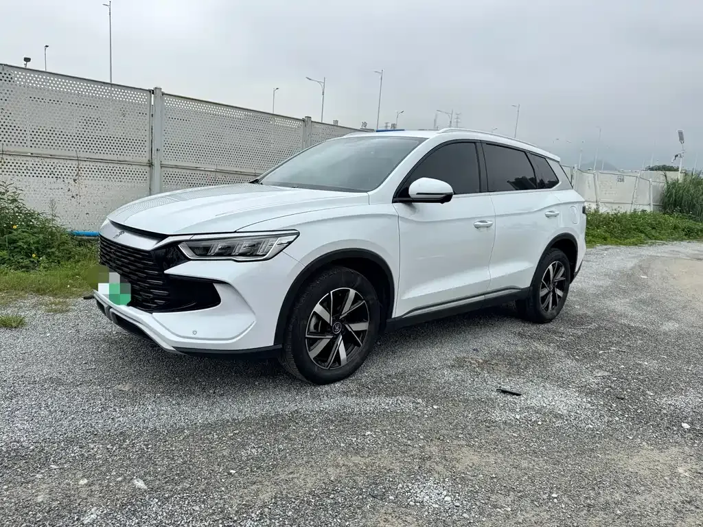 BYD Pro New Energy