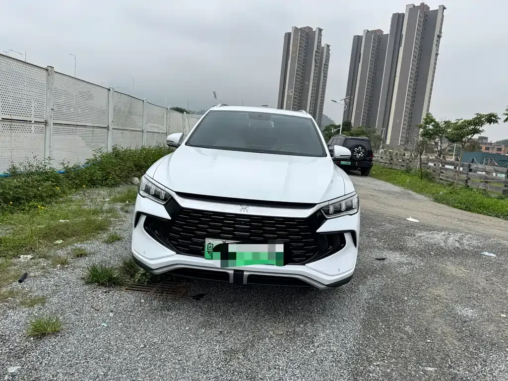 BYD Pro New Energy 2024 из CN, фото 6
