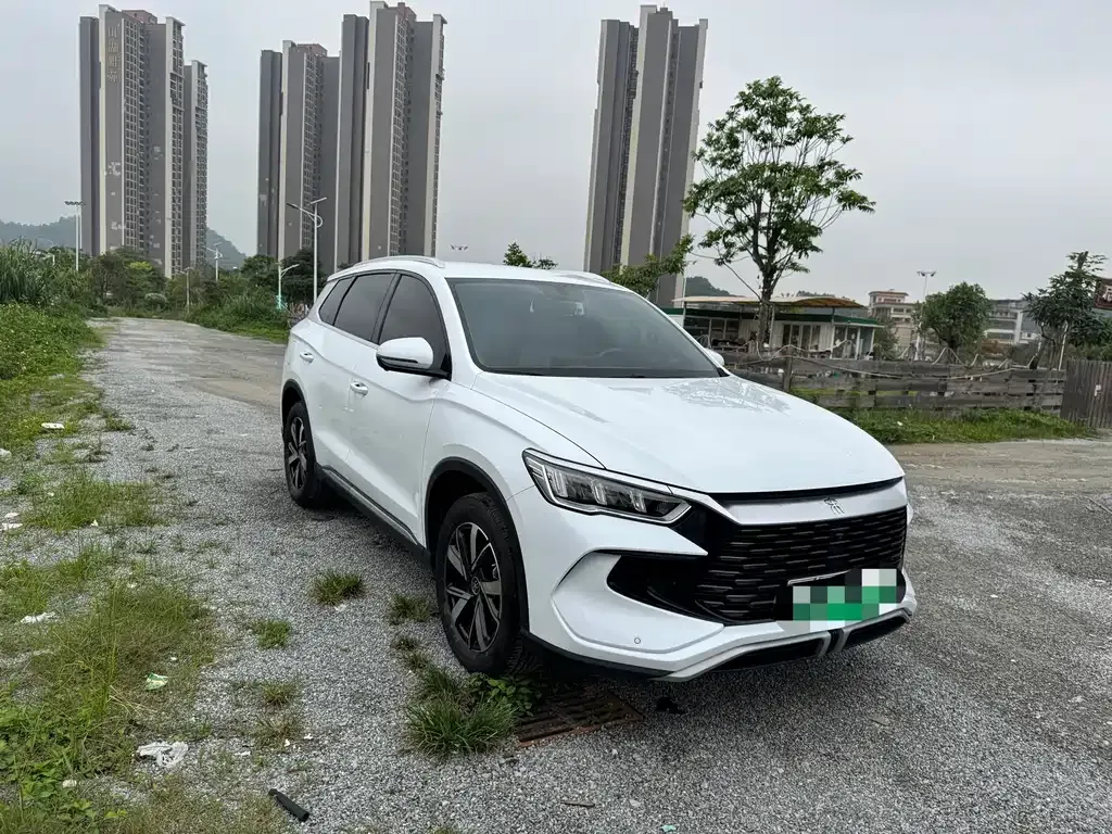 BYD Pro New Energy 2024 из CN, фото 5