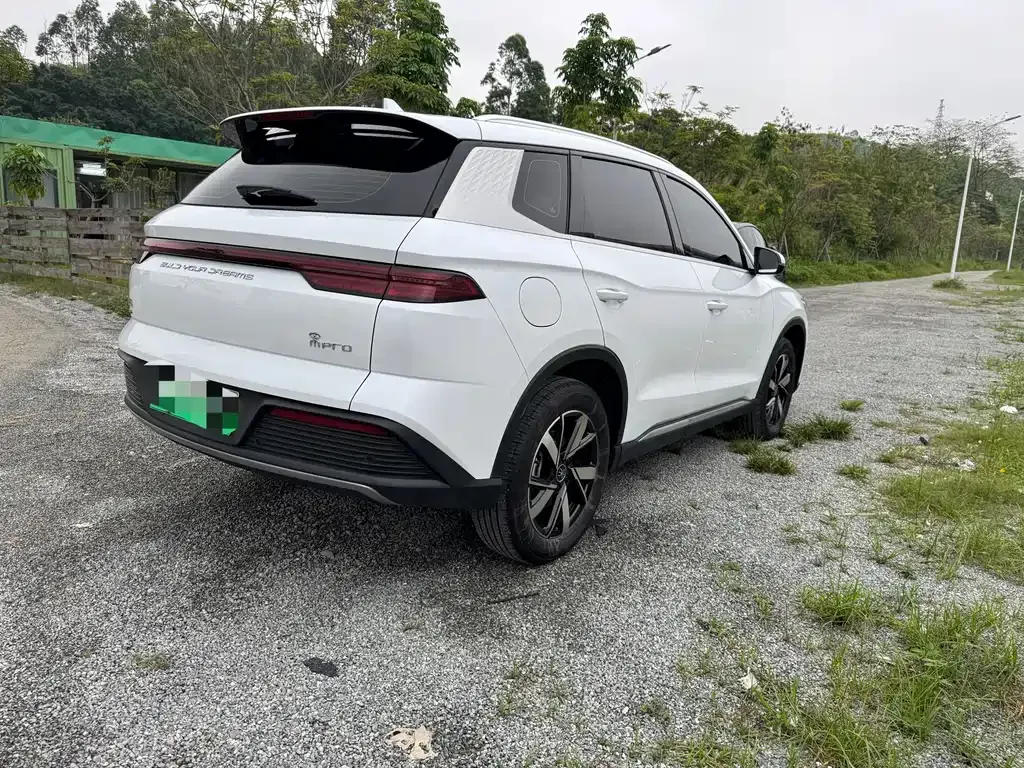 BYD Pro New Energy 2024 из CN, фото 7