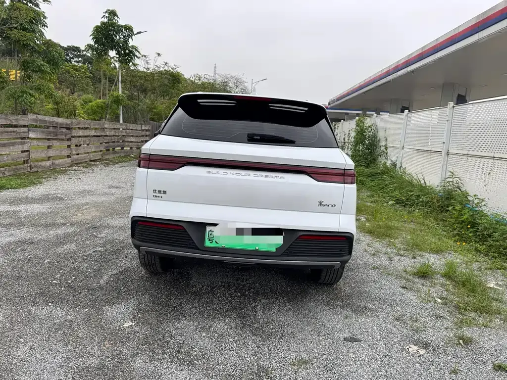 BYD Pro New Energy 2024 из CN, фото 8