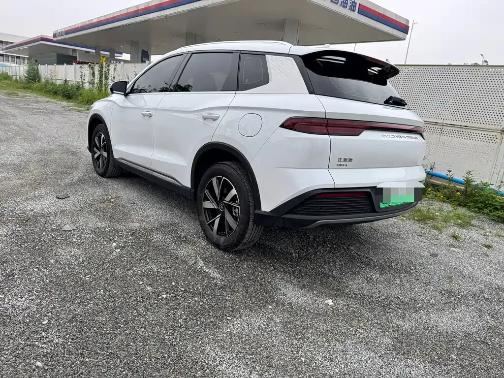 BYD Pro New Energy 2024 из CN, фото 9