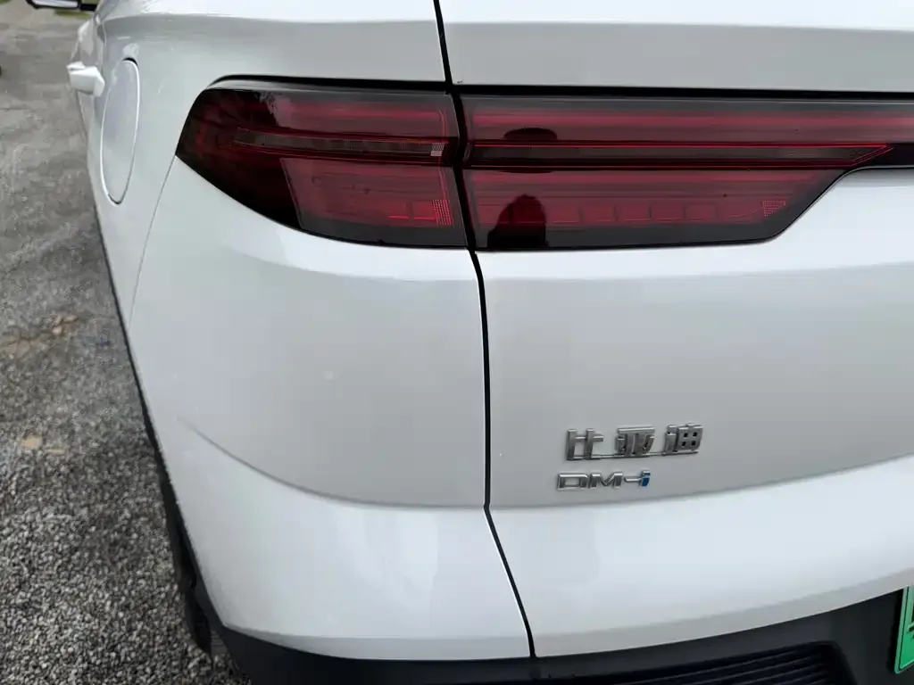BYD Pro New Energy 2024 из CN, фото 3
