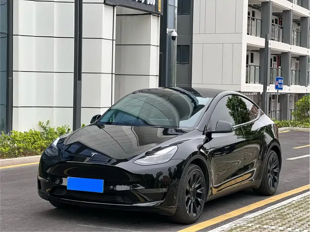 Tesla Model Y — фото 1
