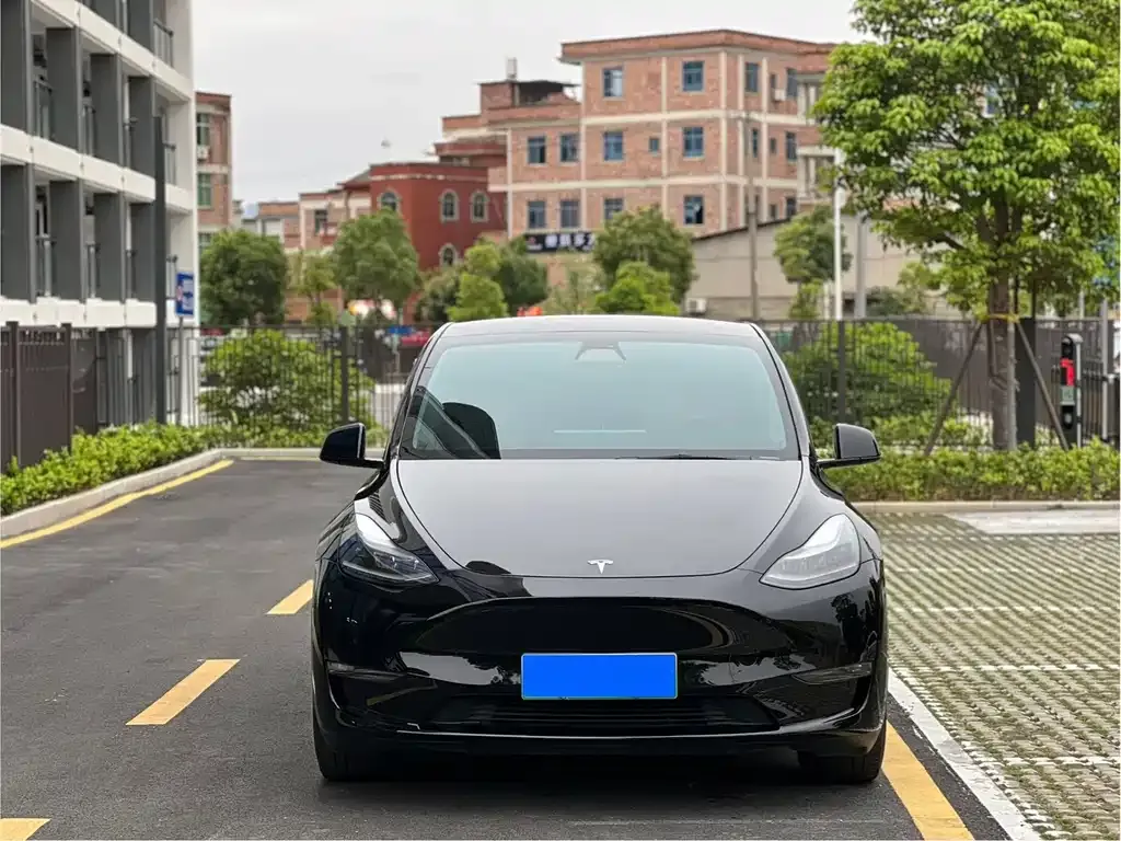 Tesla Model Y — фото 5