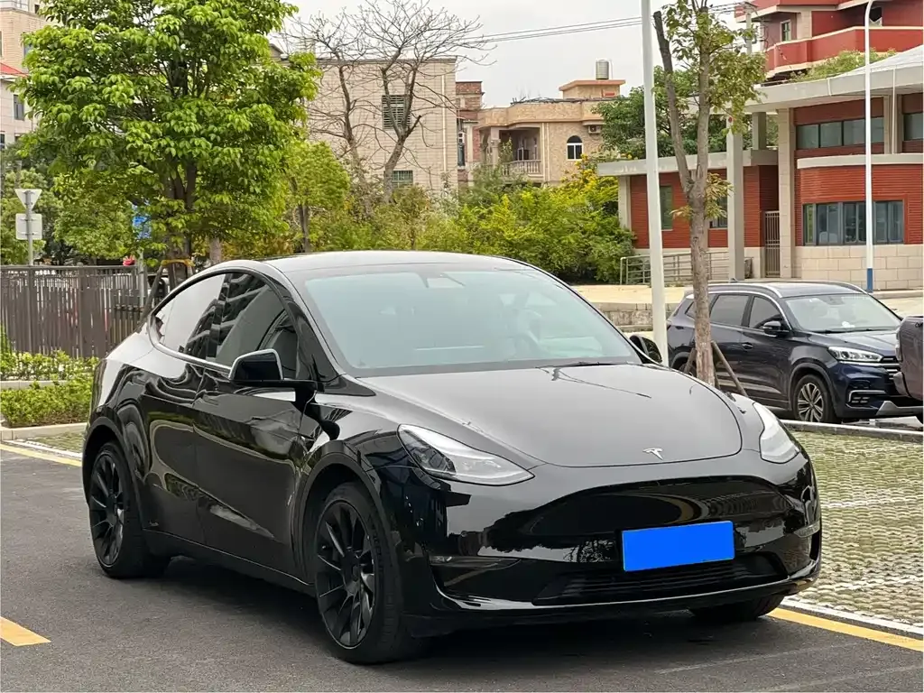 Tesla Model Y — фото 9