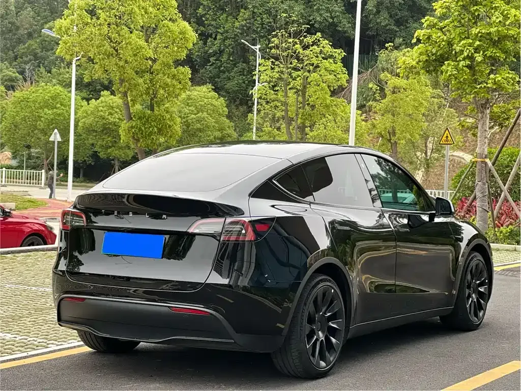 Tesla Model Y — фото 2