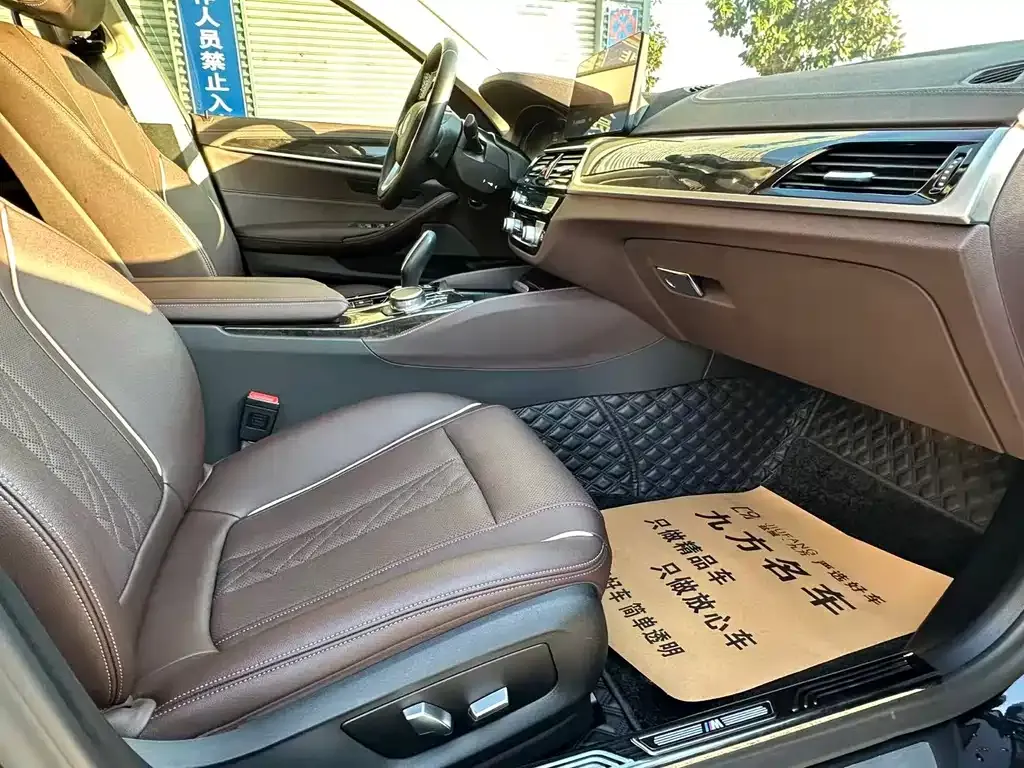 BMW 5 Series 2021 из CN, фото 7