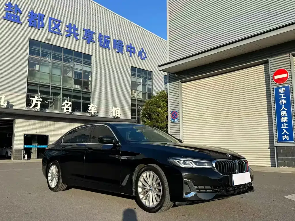 BMW 5 Series 2021 из CN, фото 6