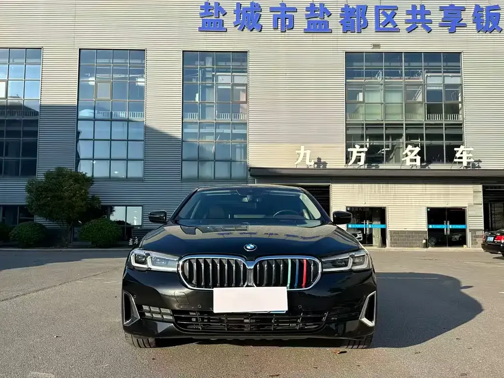 BMW 5 Series 2021 из CN, фото 5