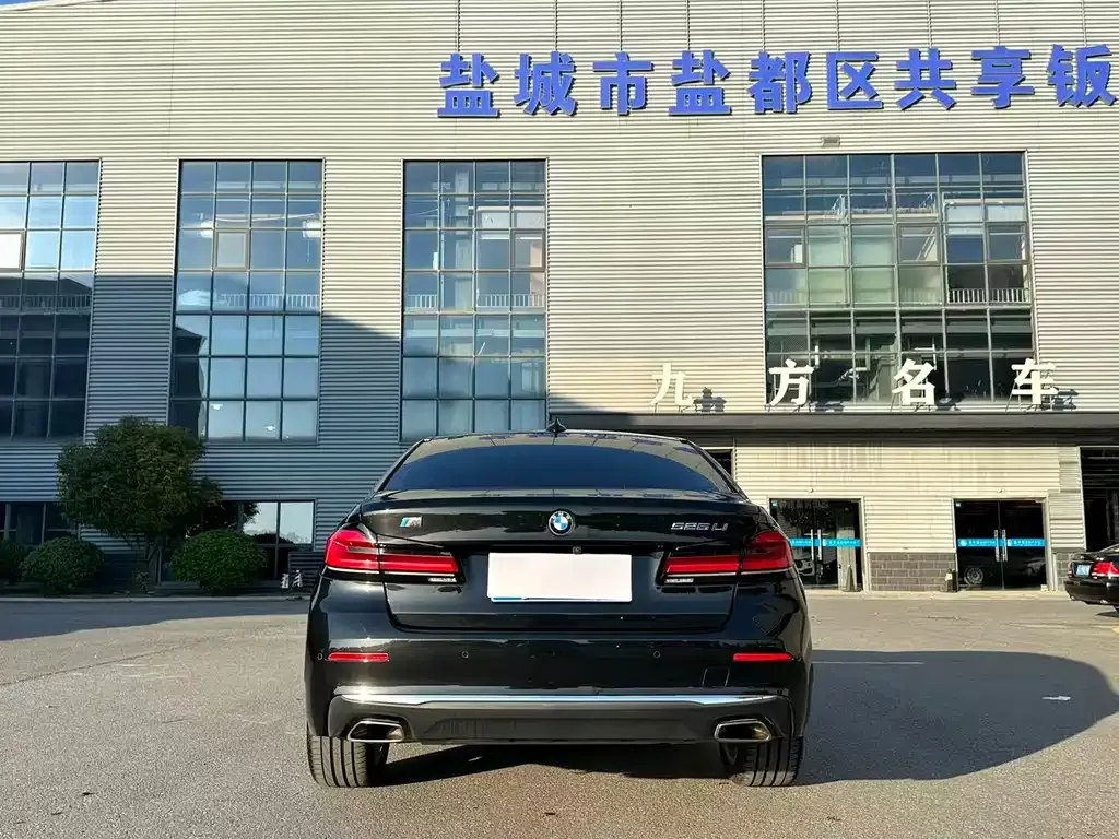 BMW 5 Series 2021 из CN, фото 10