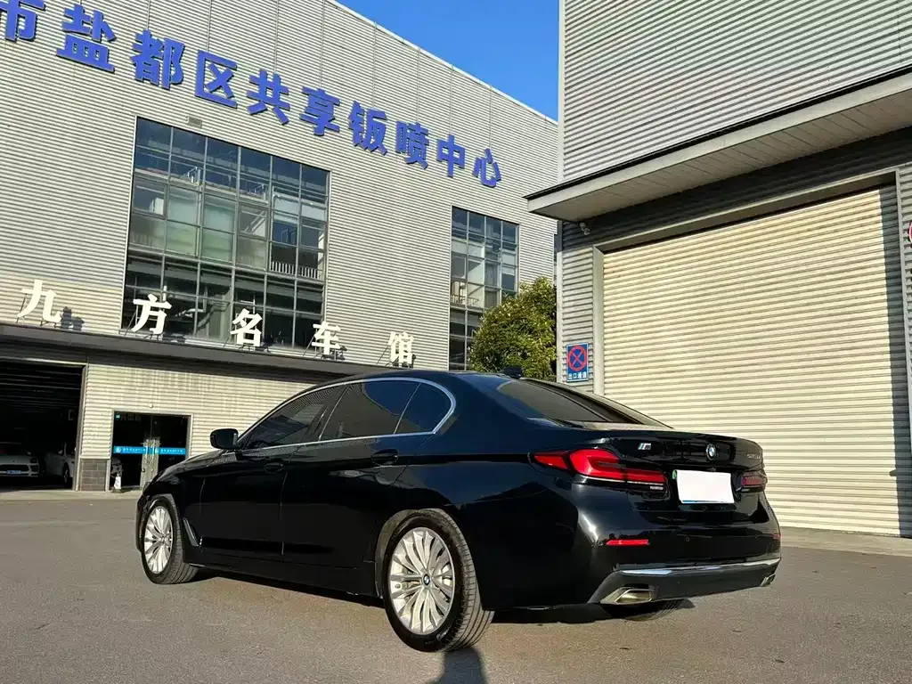 BMW 5 Series 2021 из CN, фото 9