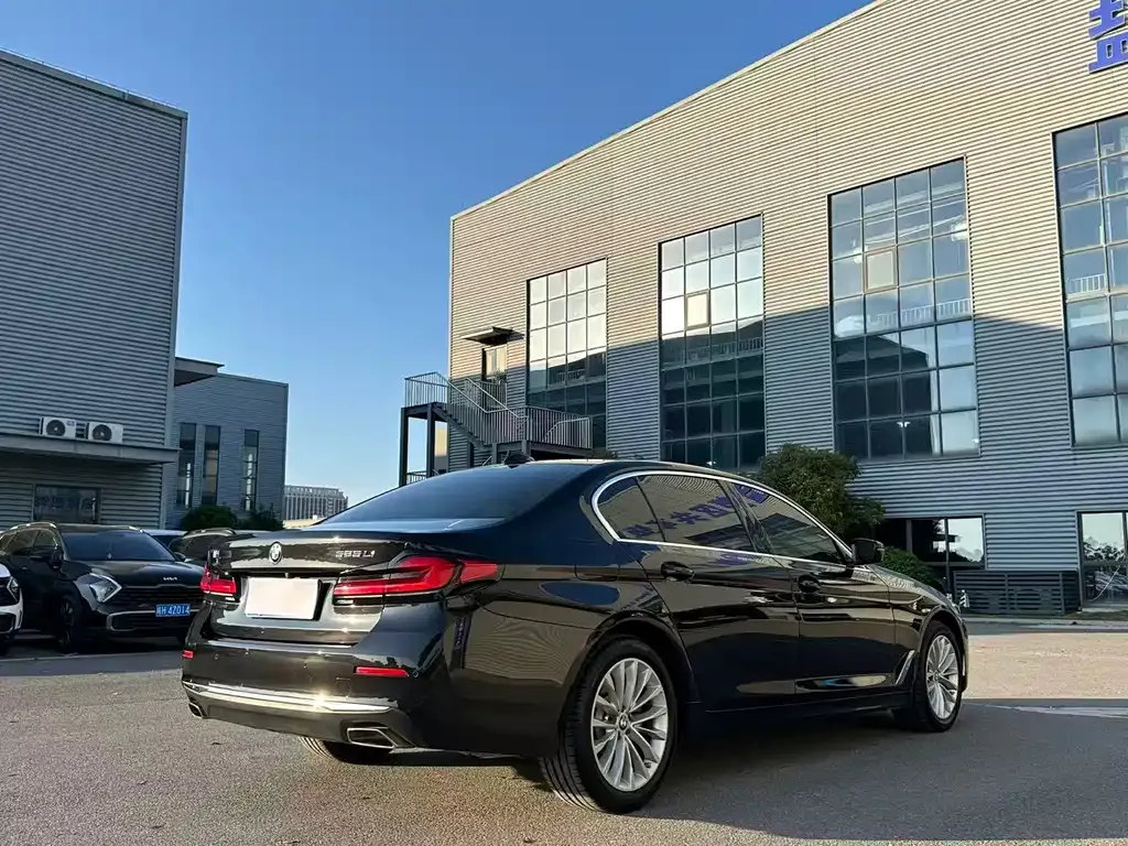 BMW 5 Series 2021 из CN, фото 8