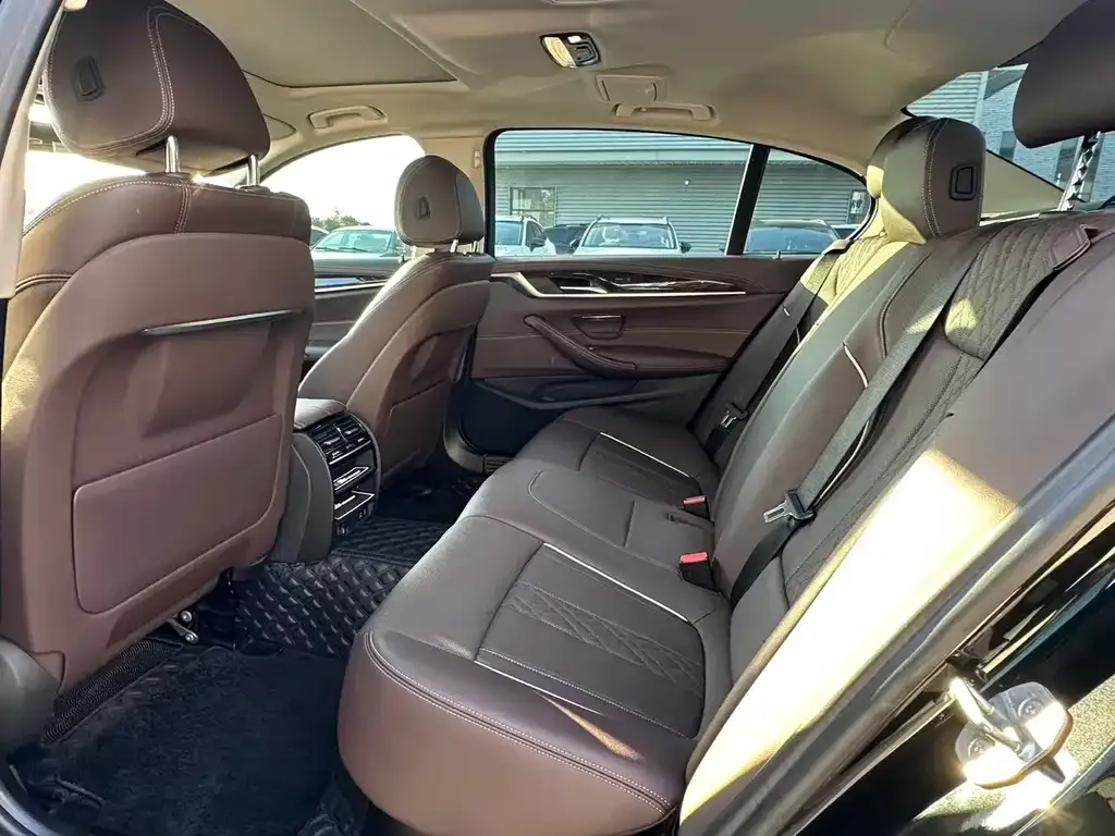 BMW 5 Series 2021 из CN, фото 3