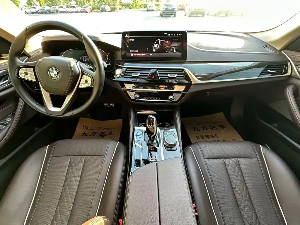 BMW 5 Series 2021 из CN, фото 4