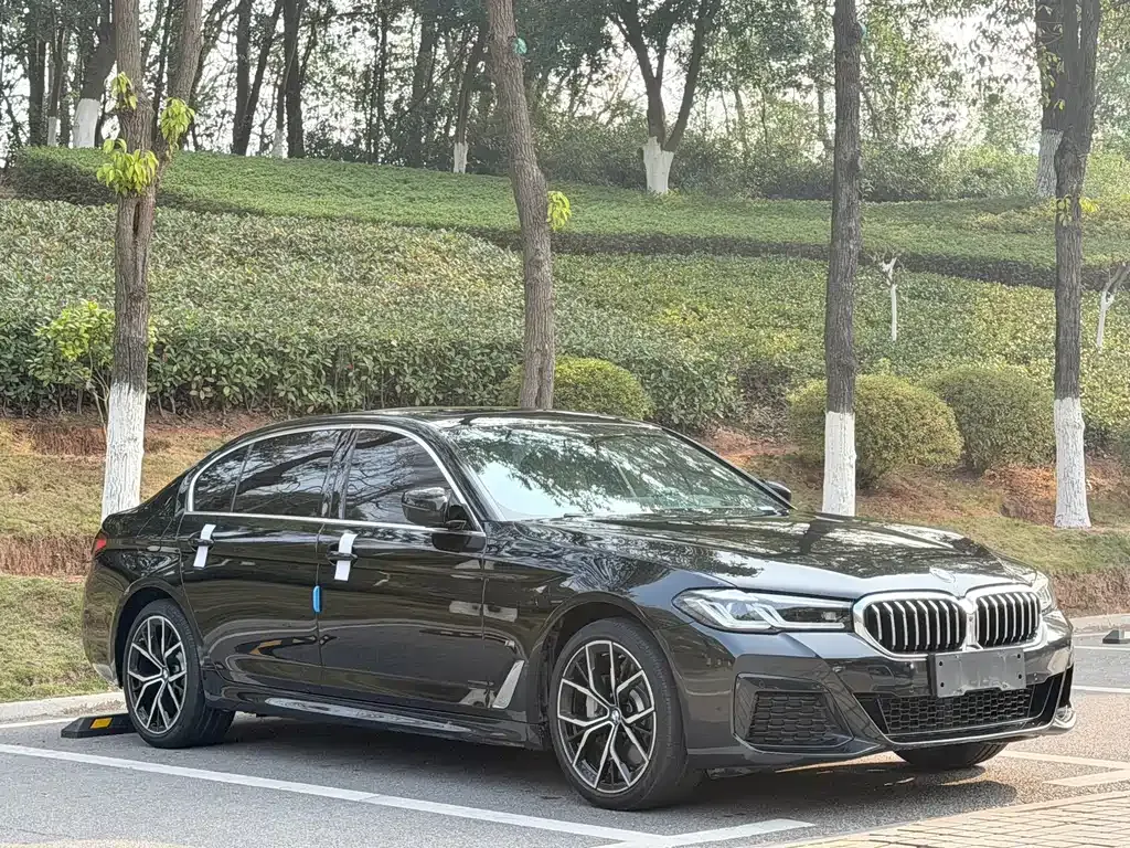 BMW 5 Series — фото 5