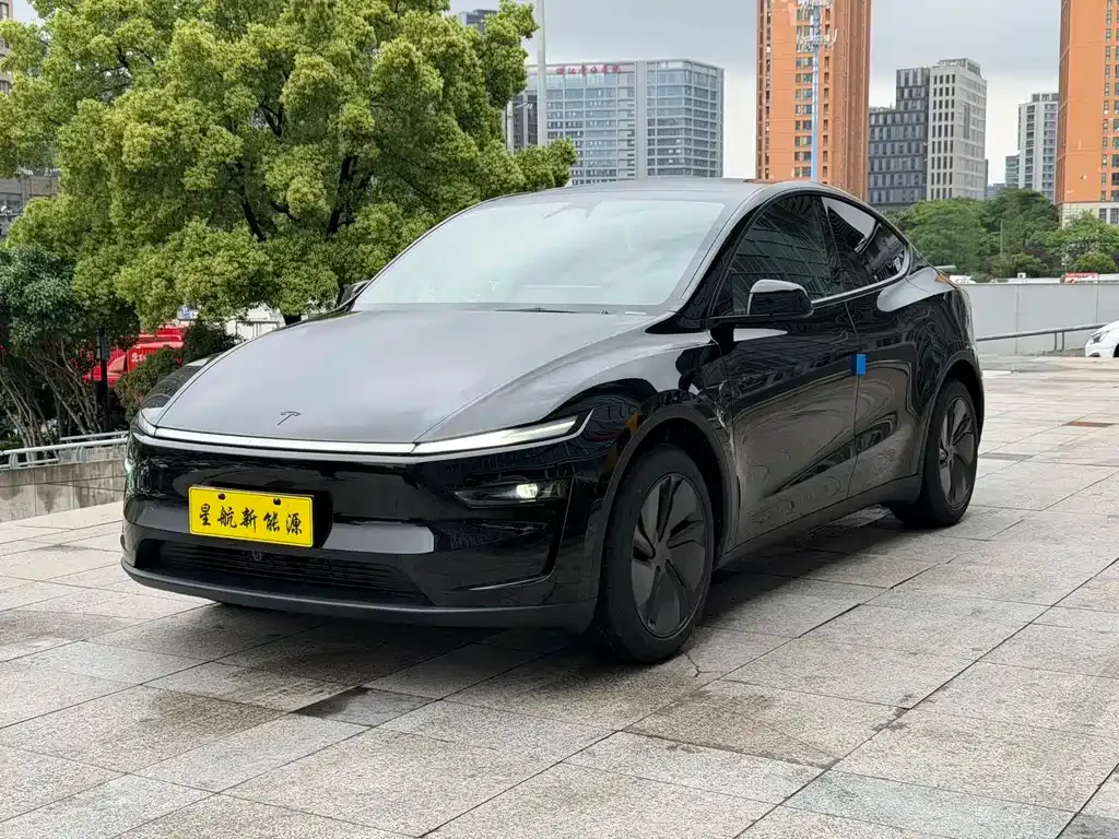 Tesla Model Y 2026 из CN, фото 5
