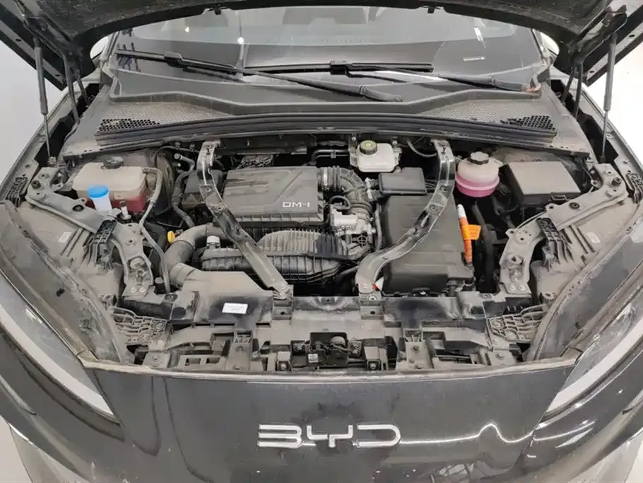BYD PLUS New Energy — фото 8