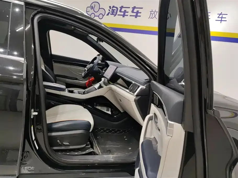 BYD PLUS New Energy — фото 4