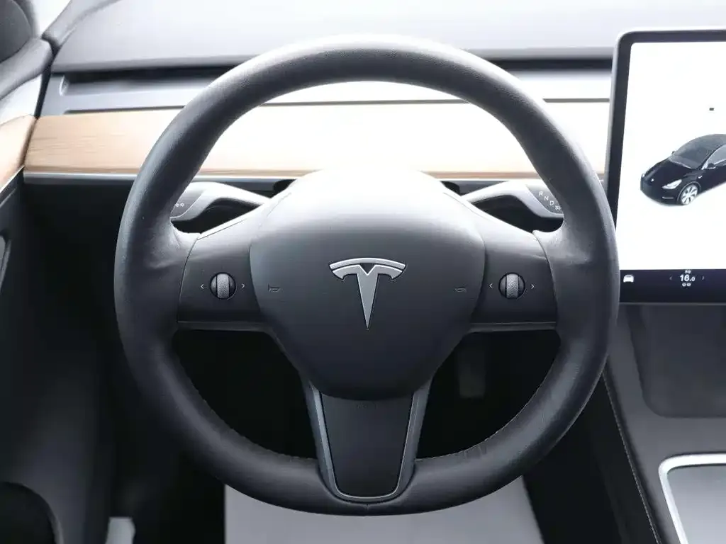 Tesla Model Y — фото 9