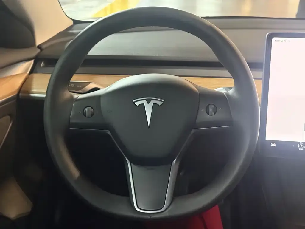 Tesla Model 3 2022 из CN, фото 4