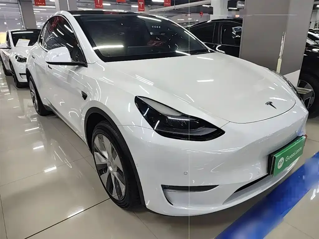 Tesla Model Y — фото 10