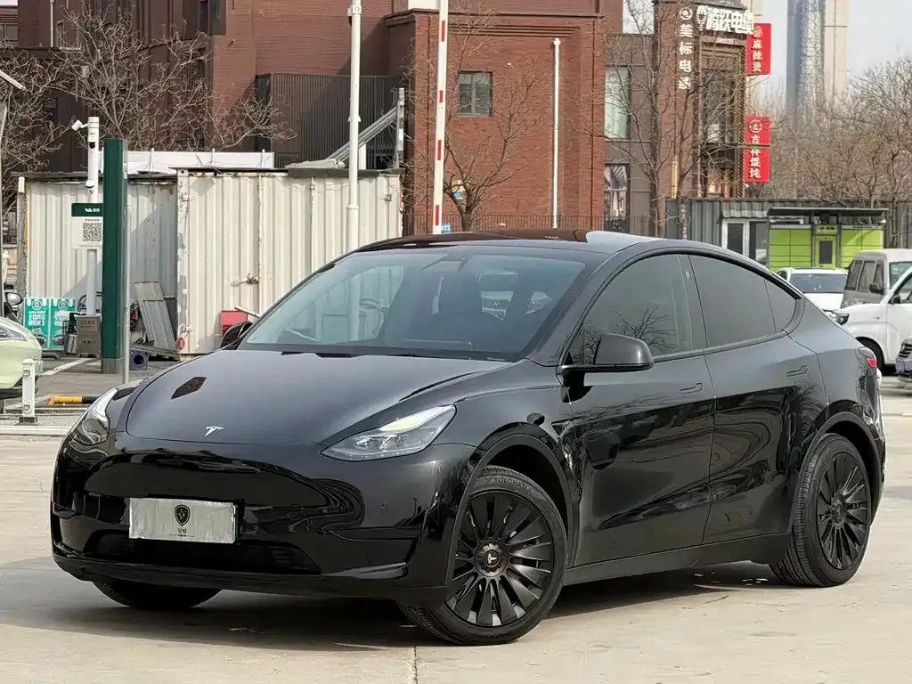 Tesla Model Y — фото 1