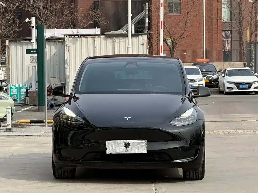 Tesla Model Y — фото 4