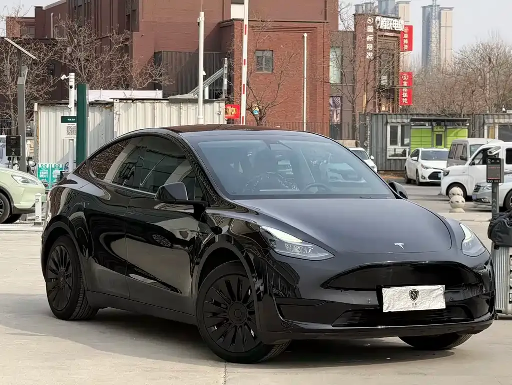 Tesla Model Y — фото 10