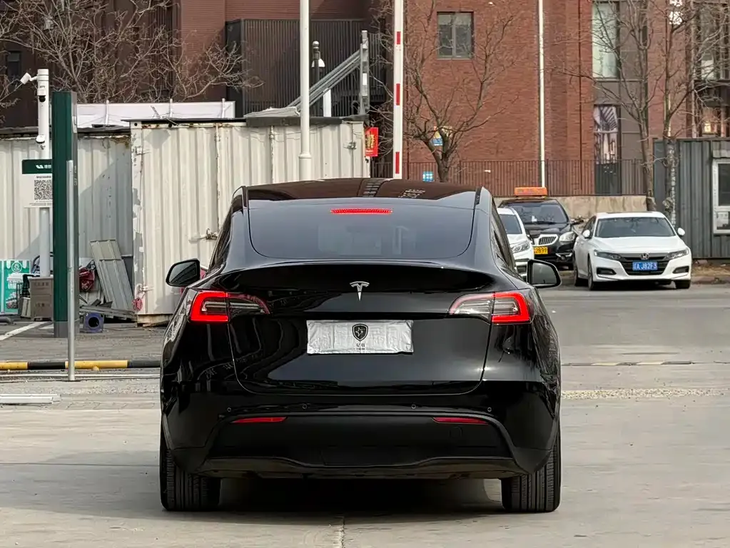Tesla Model Y — фото 3